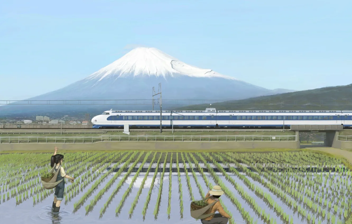 Фото обои поезд, Фудзи, рисовое поле, Train