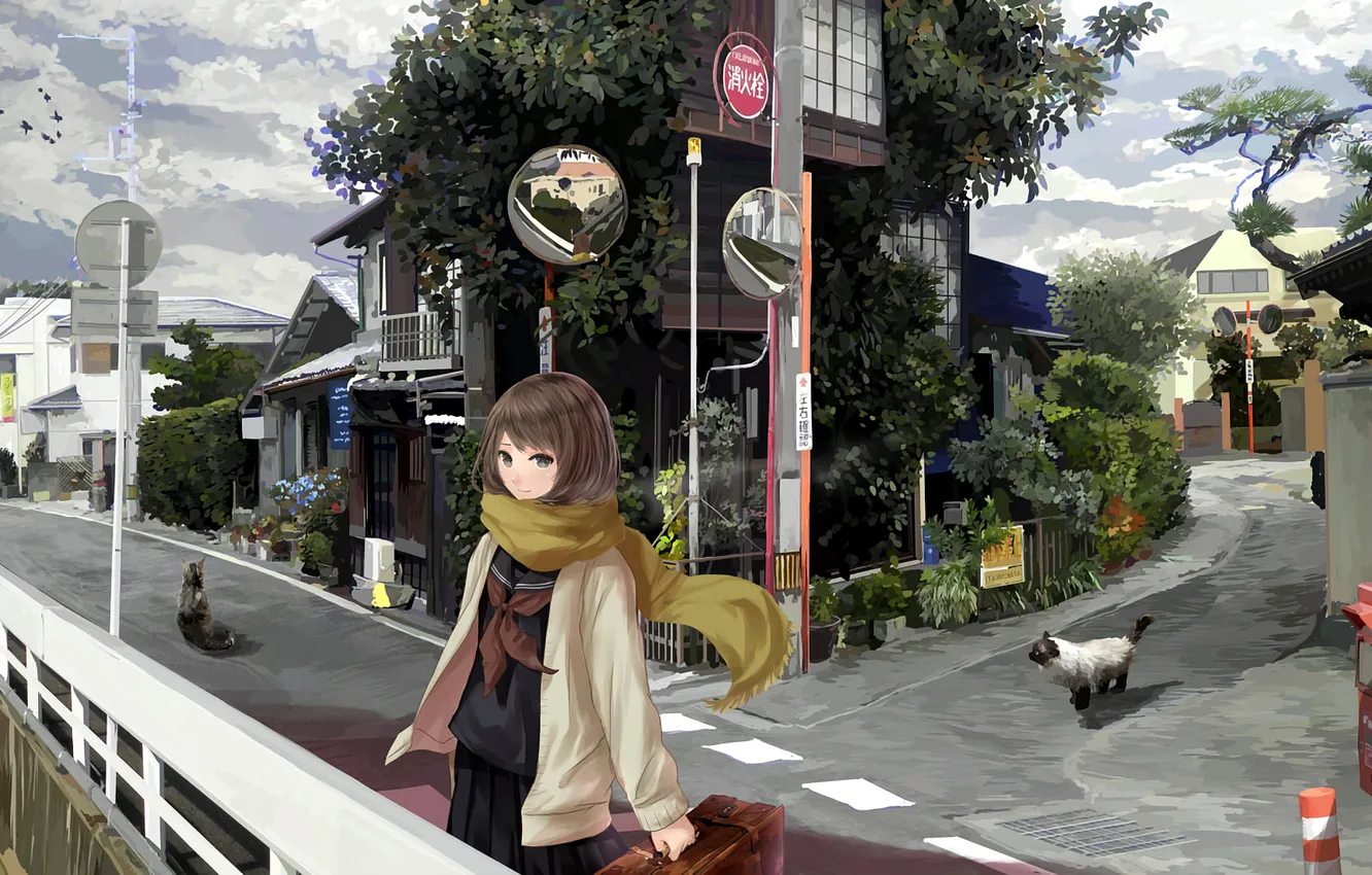 Фото обои девушка, кошки, город, улица, аниме, чемодан, art, Mikipuruun No Naegi