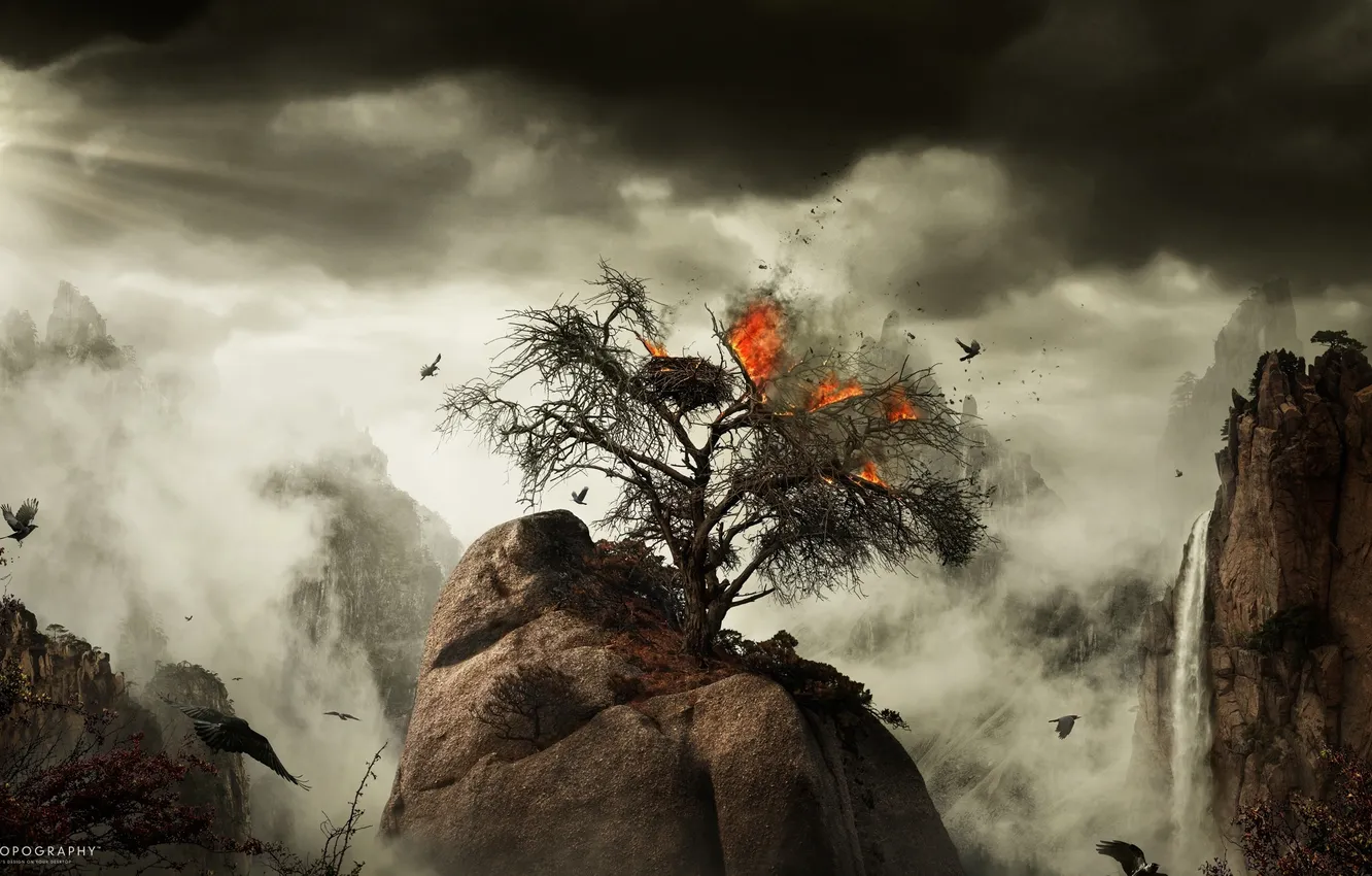Фото обои птицы, дерево, скалы, огонь, desktopography