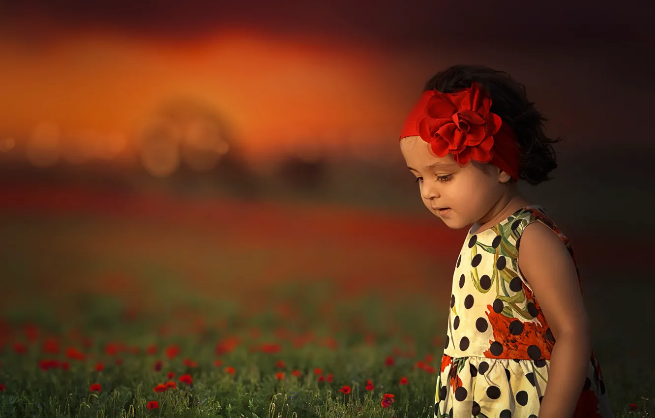 Фото обои цветы, настроение, луг, девочка, повязка