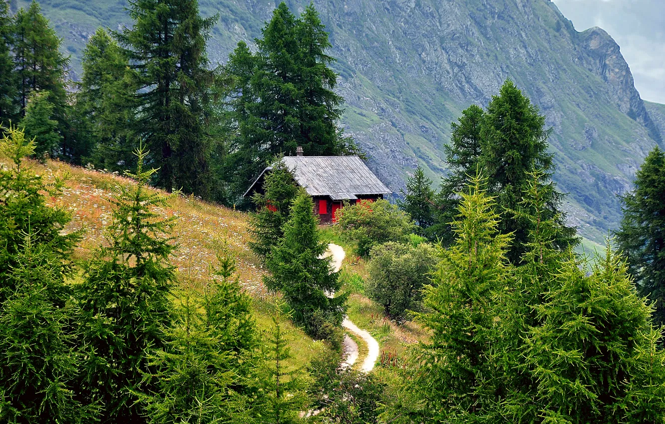 Фото обои дорога, лес, деревья, горы, дом