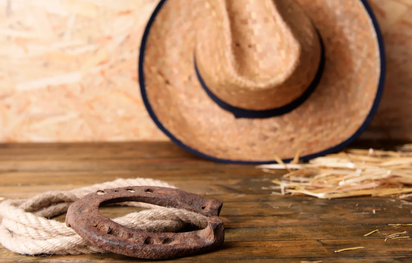 Фото обои hat, Leather, horseshoe