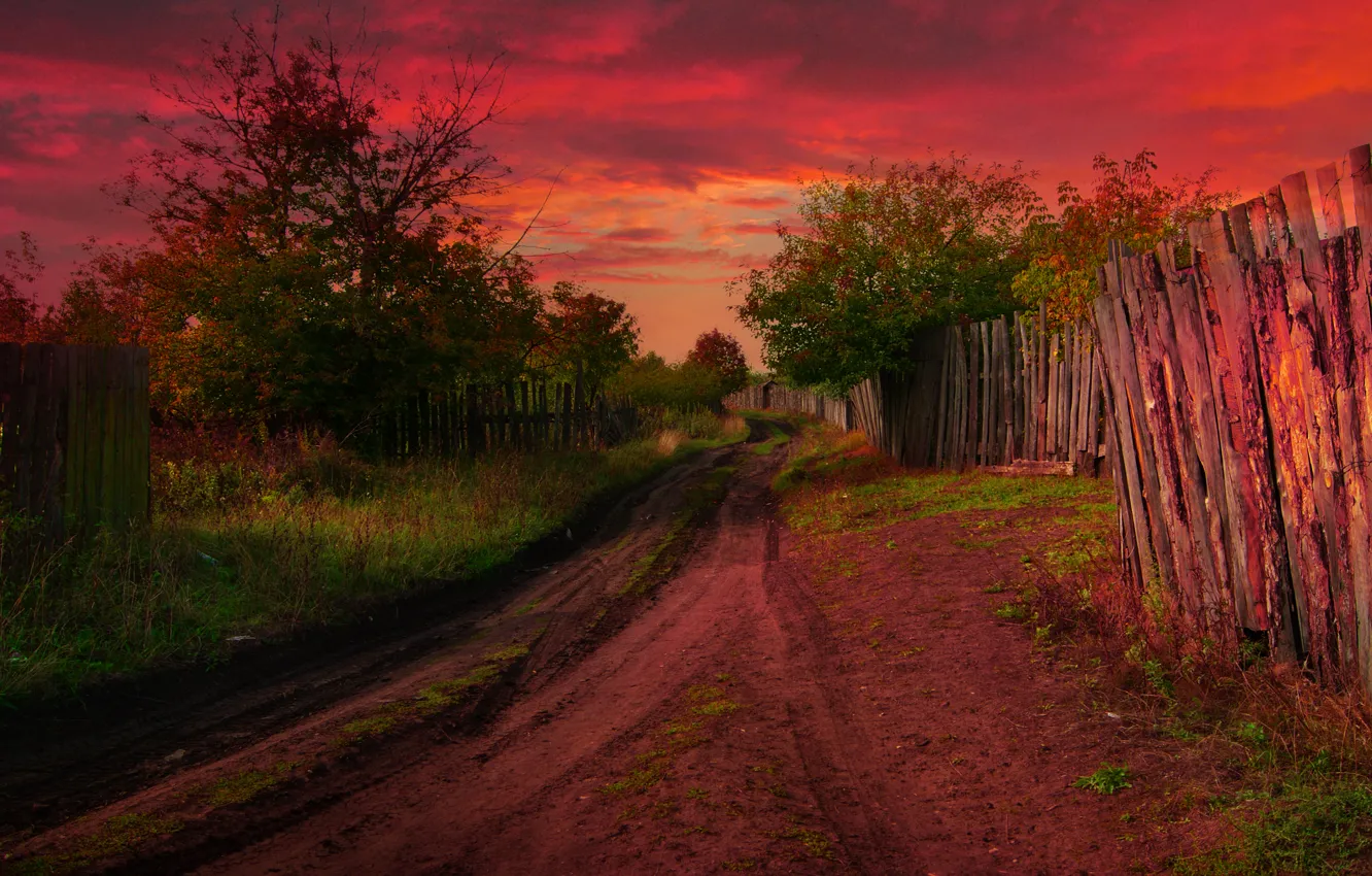 Фото обои осень, забор, обработка, деревня, дорожка, Nature, autumn, village