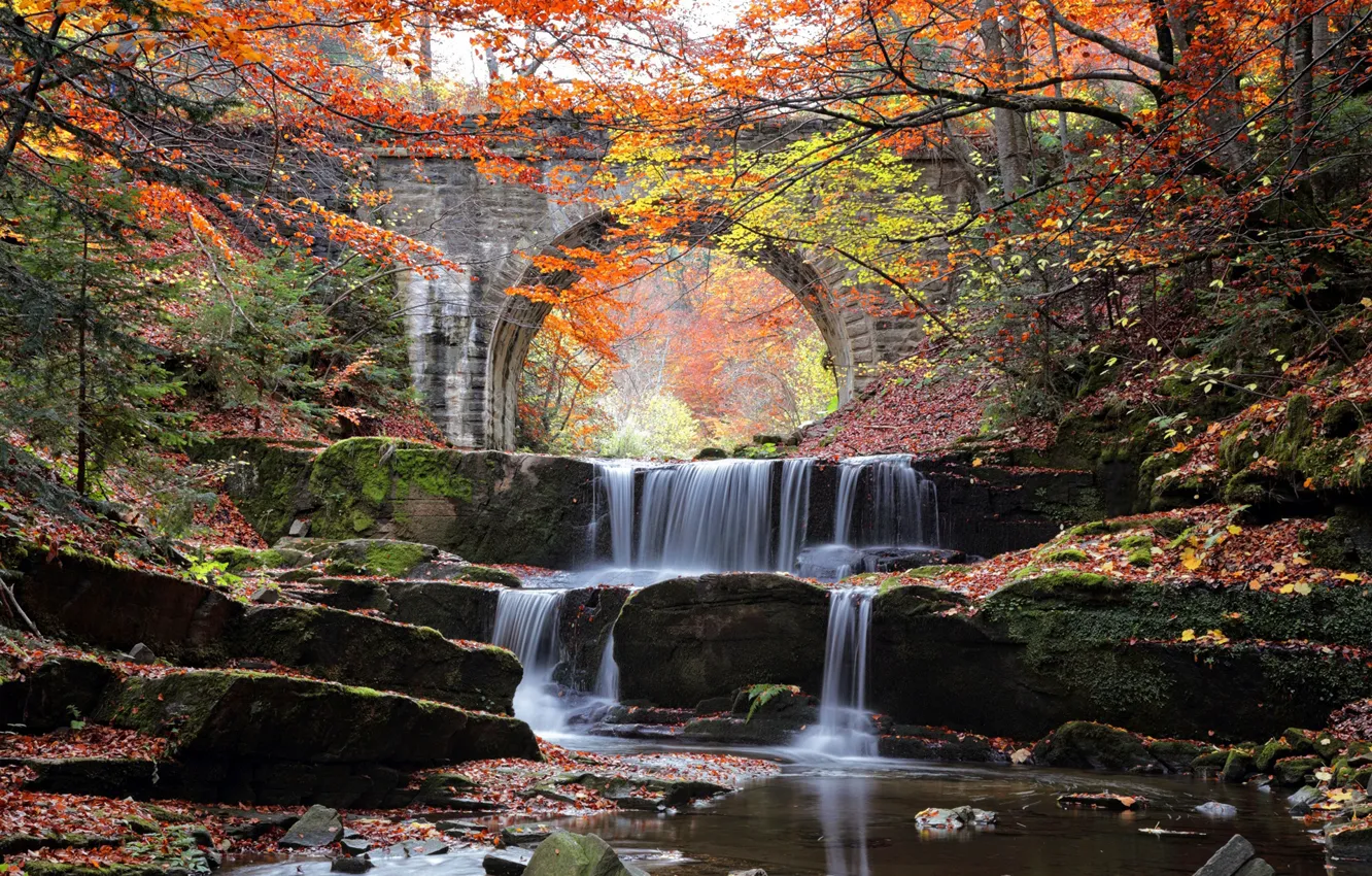 Фото обои осень, вода, деревья, мост, река, камни, каскад