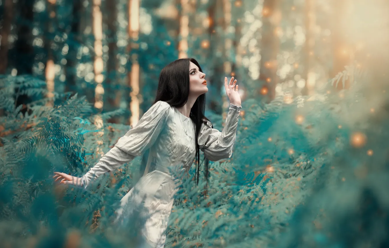 Фото обои лес, листья, девушка, природа, платье, брюнетка, Starowicz Anetta