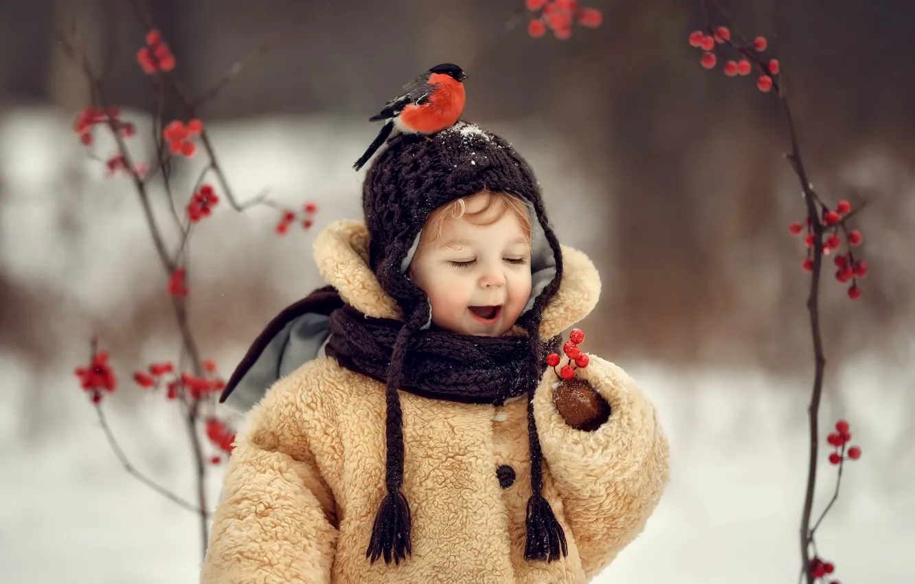 Фото обои зима, ягоды, настроение, птица, мальчик, снегирь, шапочка, шубка