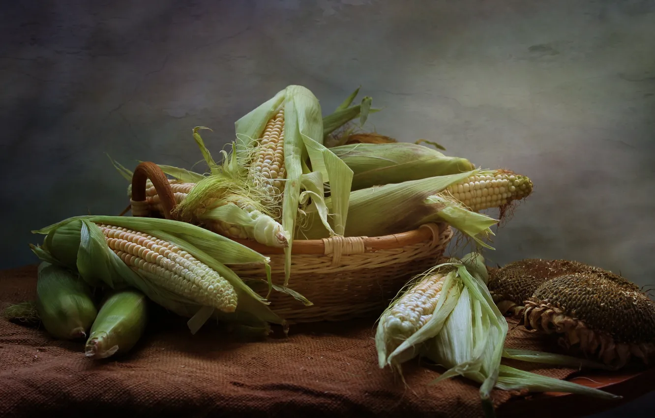 Фото обои лето, кукуруза, натюрморт