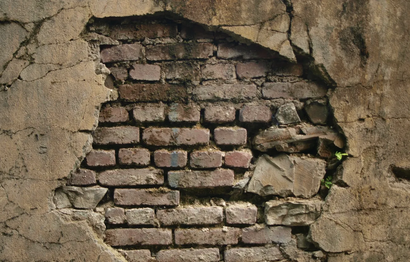 Фото обои wall, pattern, brick, pattern of brick wall