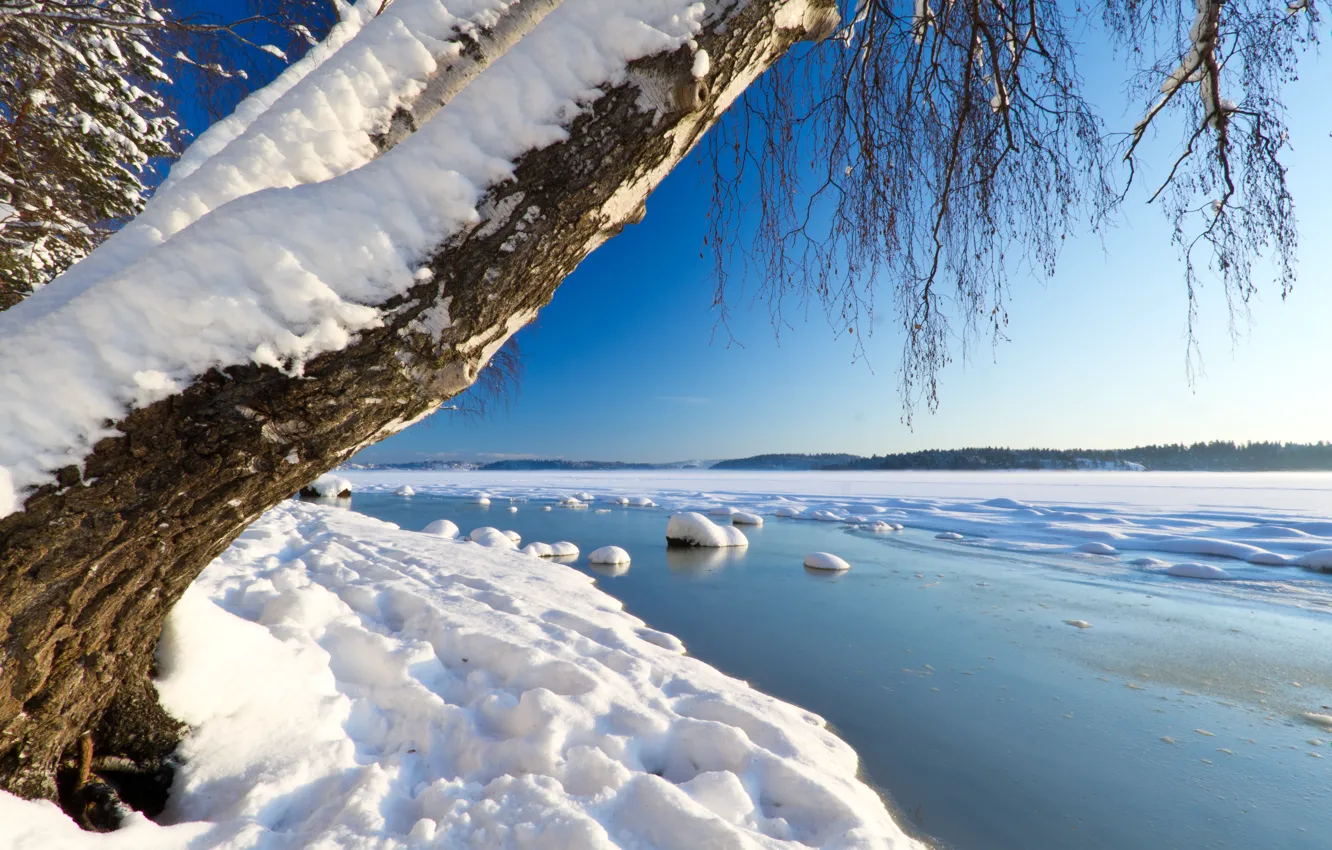 Фото обои лед, зима, небо, вода, снег, река, дерево, горизонт