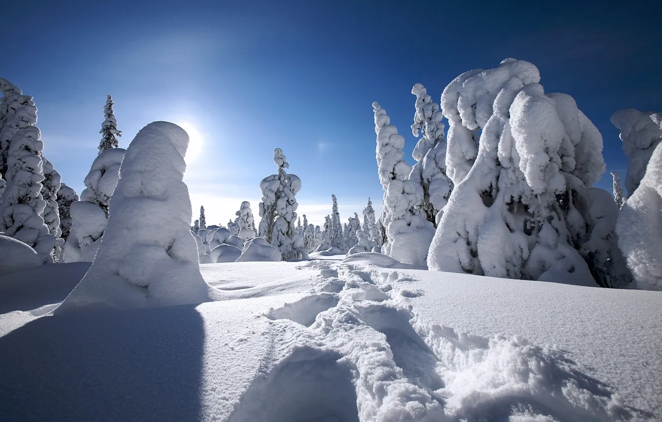 Фото обои зима, снег, winter, финляндия, finland