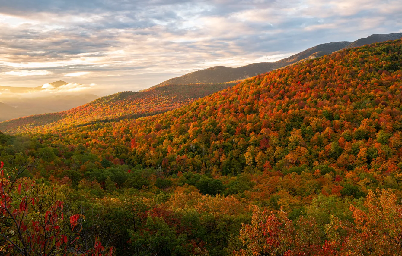 Фото обои осень, лес, небо, облака, деревья, горы, холмы, высота