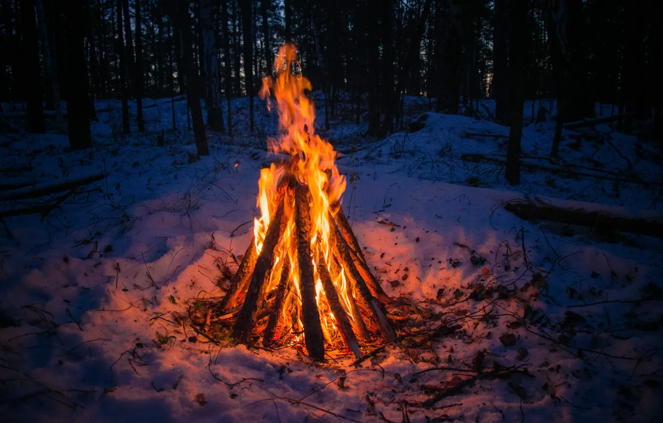 Фото обои зима, лес, снег, одиночество, тепло, костер, Урал, у огня