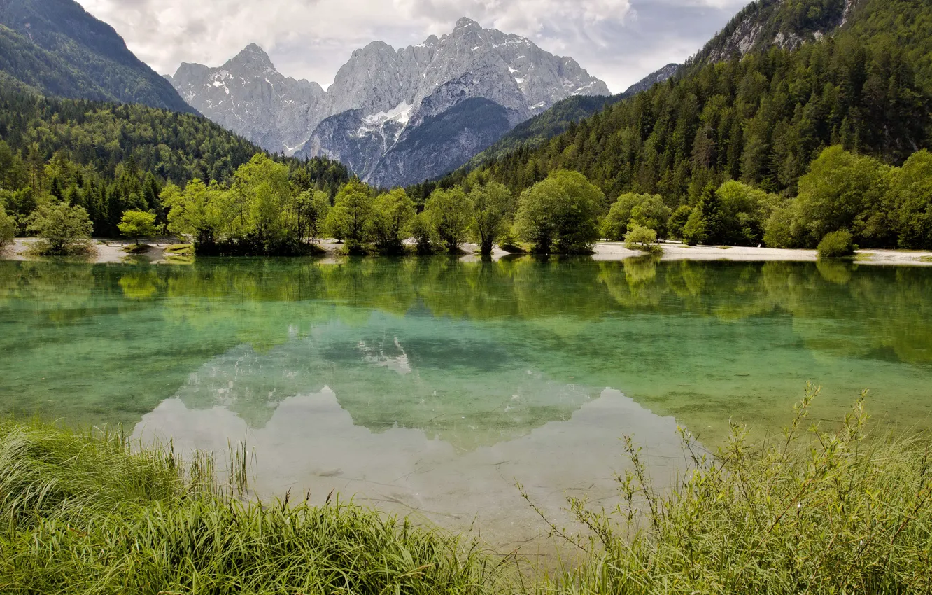 Фото обои лес, трава, облака, деревья, горы, озеро, Словения, Lake Jasna