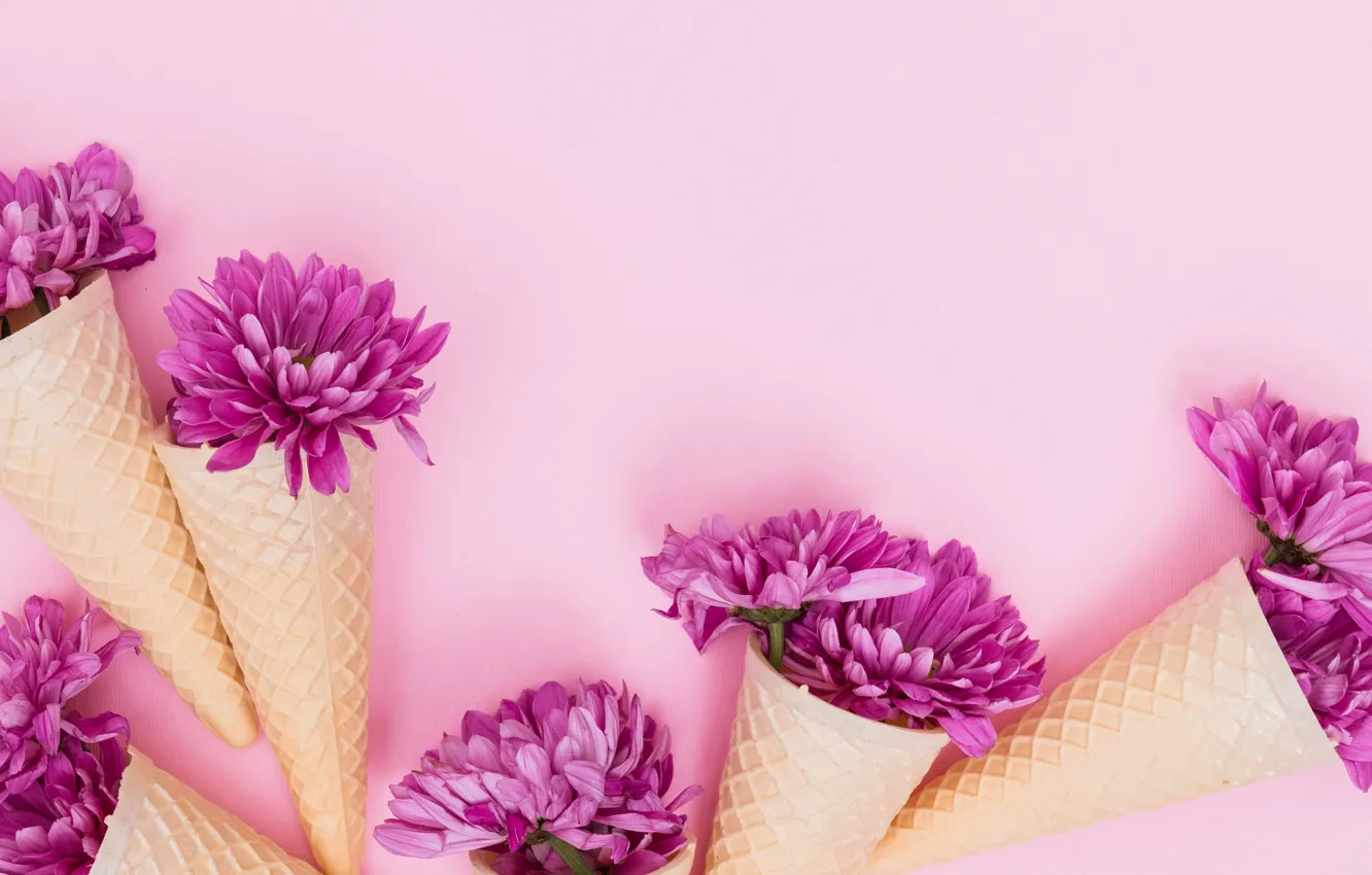 Фото обои цветы, лепестки, pink, flowers