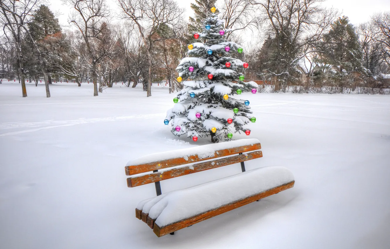 Фото обои зима, небо, шарики, снег, деревья, парк, праздник, коллаж