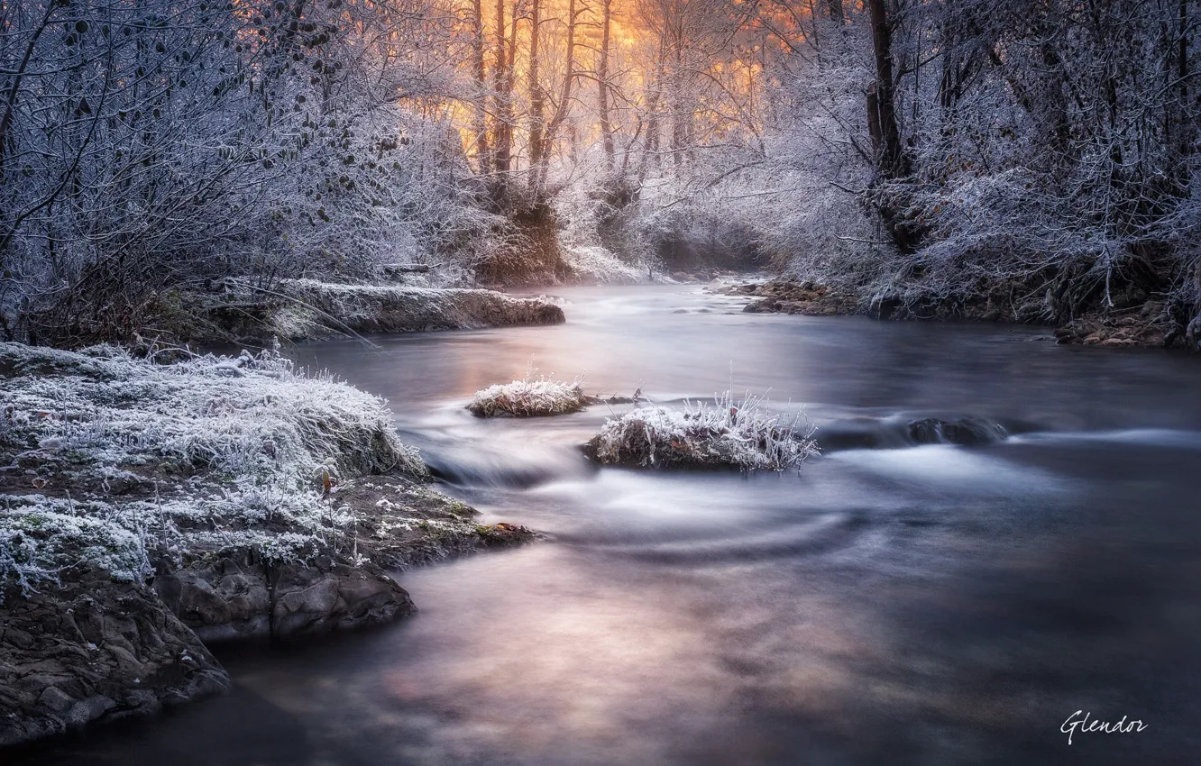 Фото обои зима, иней, свет, снег, деревья, природа, река