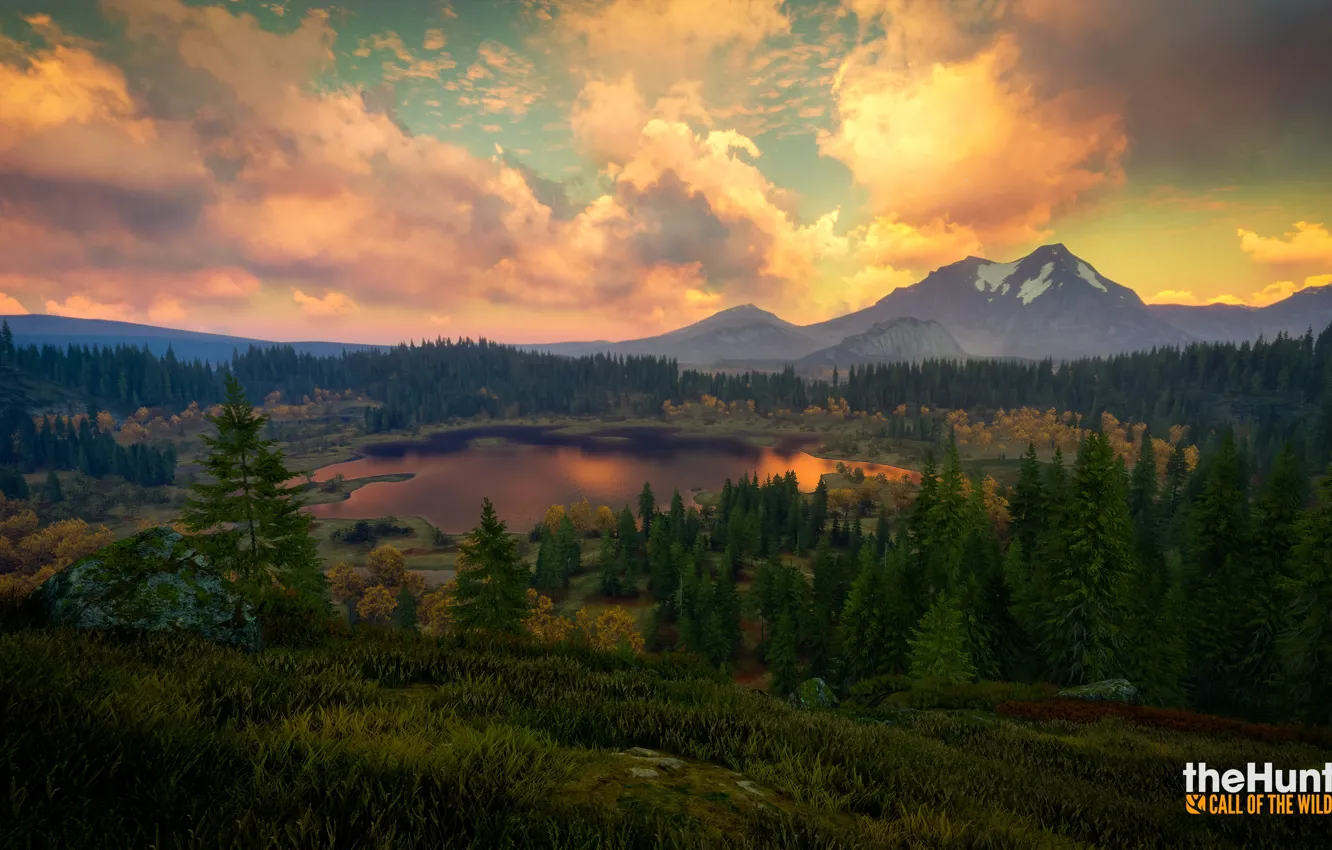 Фото обои горы, игра, Природа, Лес, theHunter Call of the Wild™
