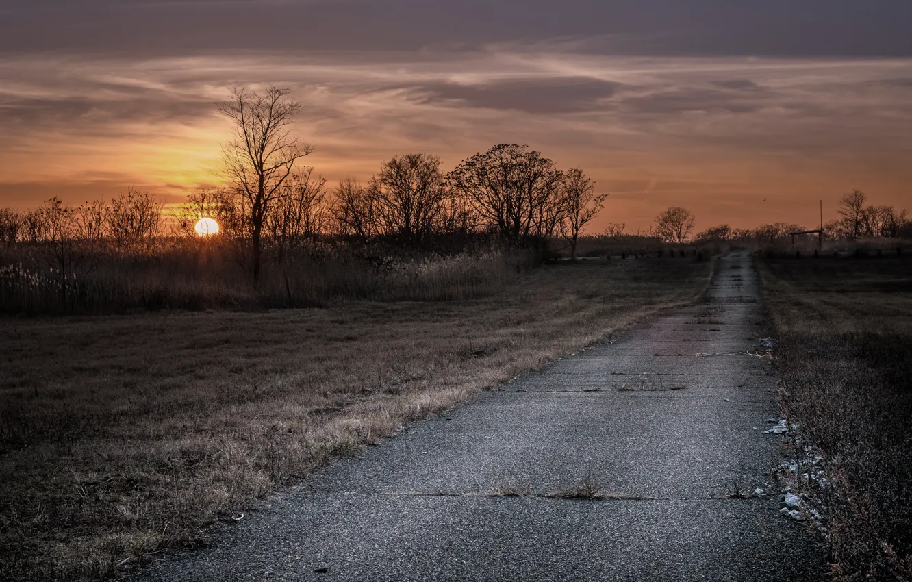 Фото обои дорога, поле, солнце, Riding off into the sunset