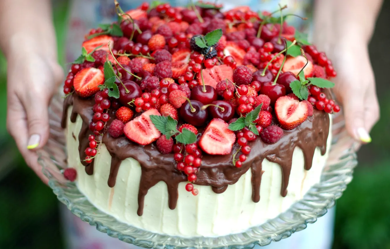 Фото обои вишня, ягоды, малина, шоколад, клубника, торт, мята, смородина
