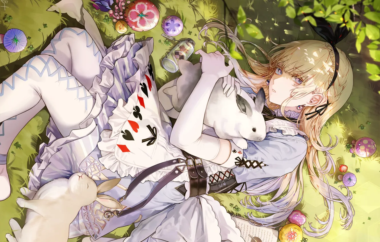Фото обои грибы, банка, Alice in Wonderland, Алиса в Стране Чудес, Alice, фартук, лежит на траве, белый …
