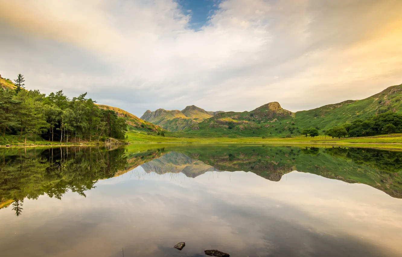 Фото обои деревья, пейзаж, горы, озеро