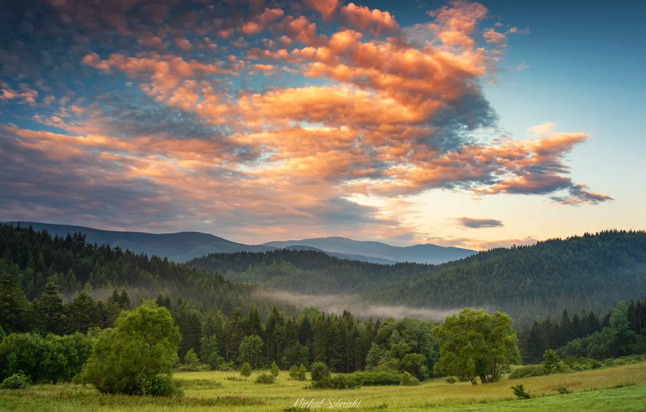 Фото обои лес, небо, облака, закат, горы, природа, Sośnicki Michał