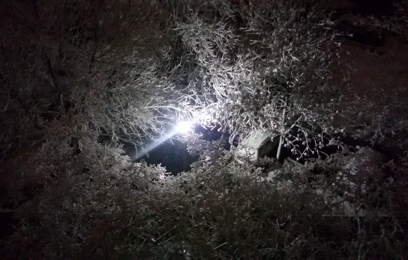Фото обои Зима, Деревья, Снег, Фонарь, Красота рядом