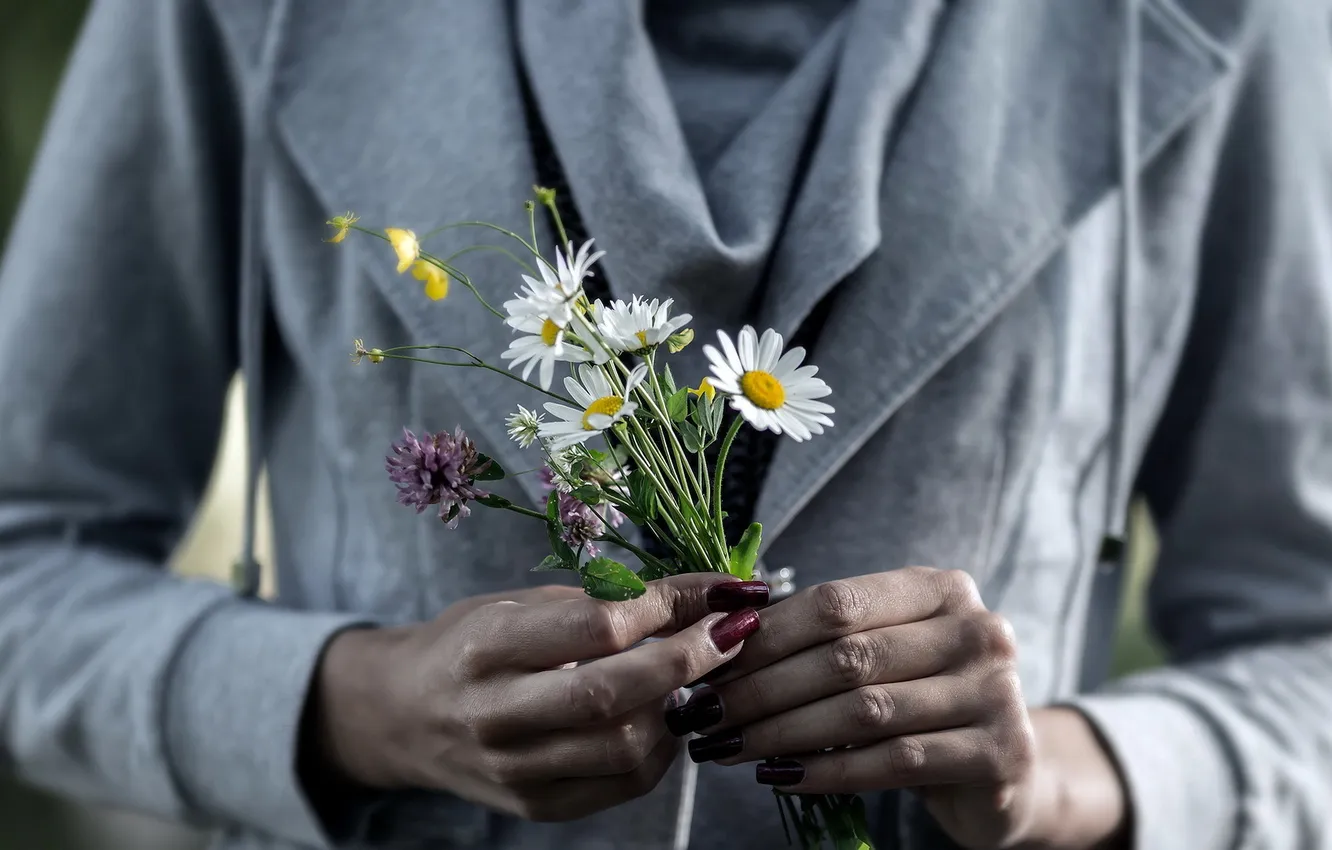 Фото обои цветы, фон, руки