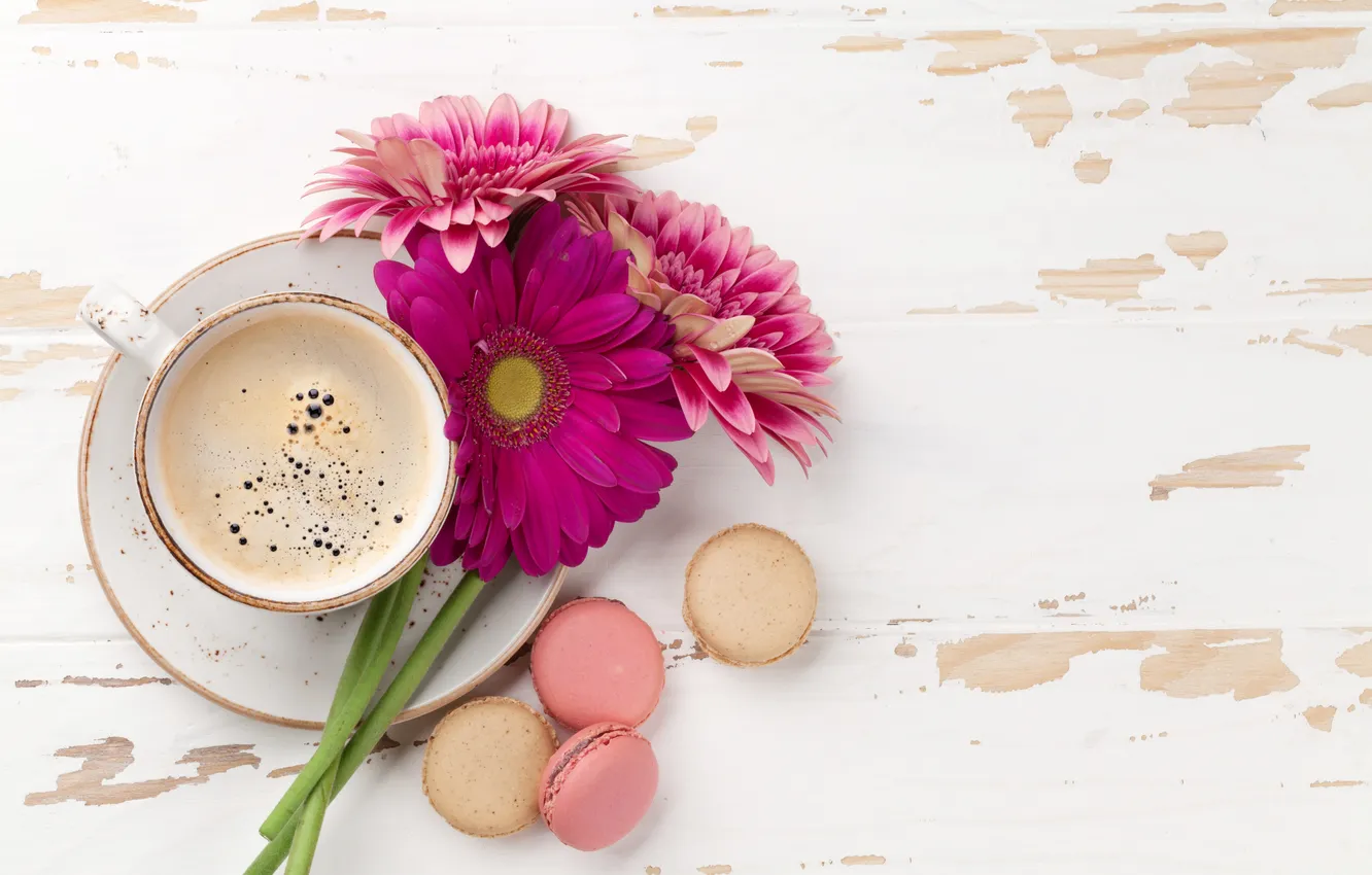 Фото обои цветы, герберы, wood, pink, flowers, coffee cup, with love, macarons