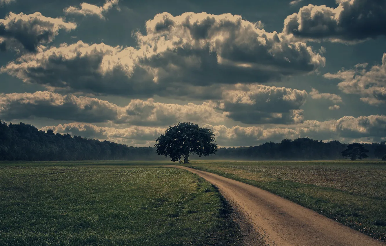 Фото обои дорога, облака, зеленая трава, красота, одинокое дерево, road, clouds, beauty