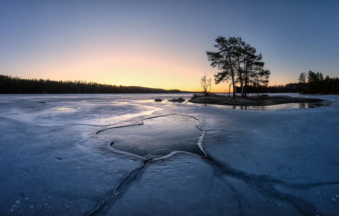 Фото обои озеро, дерево, лёд