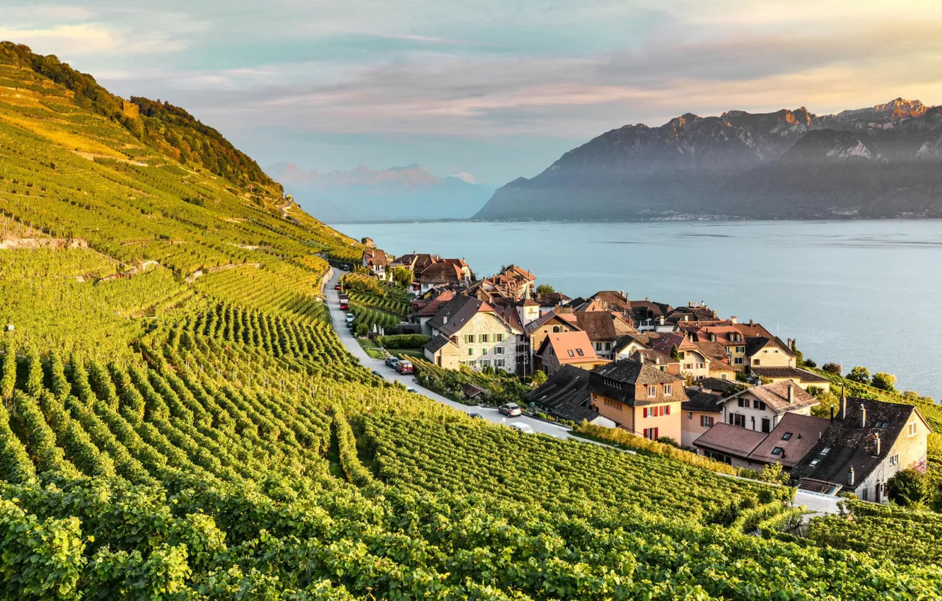 Фото обои озеро, дома, Швейцария, Альпы, виноградники, Lavaux, Лаво
