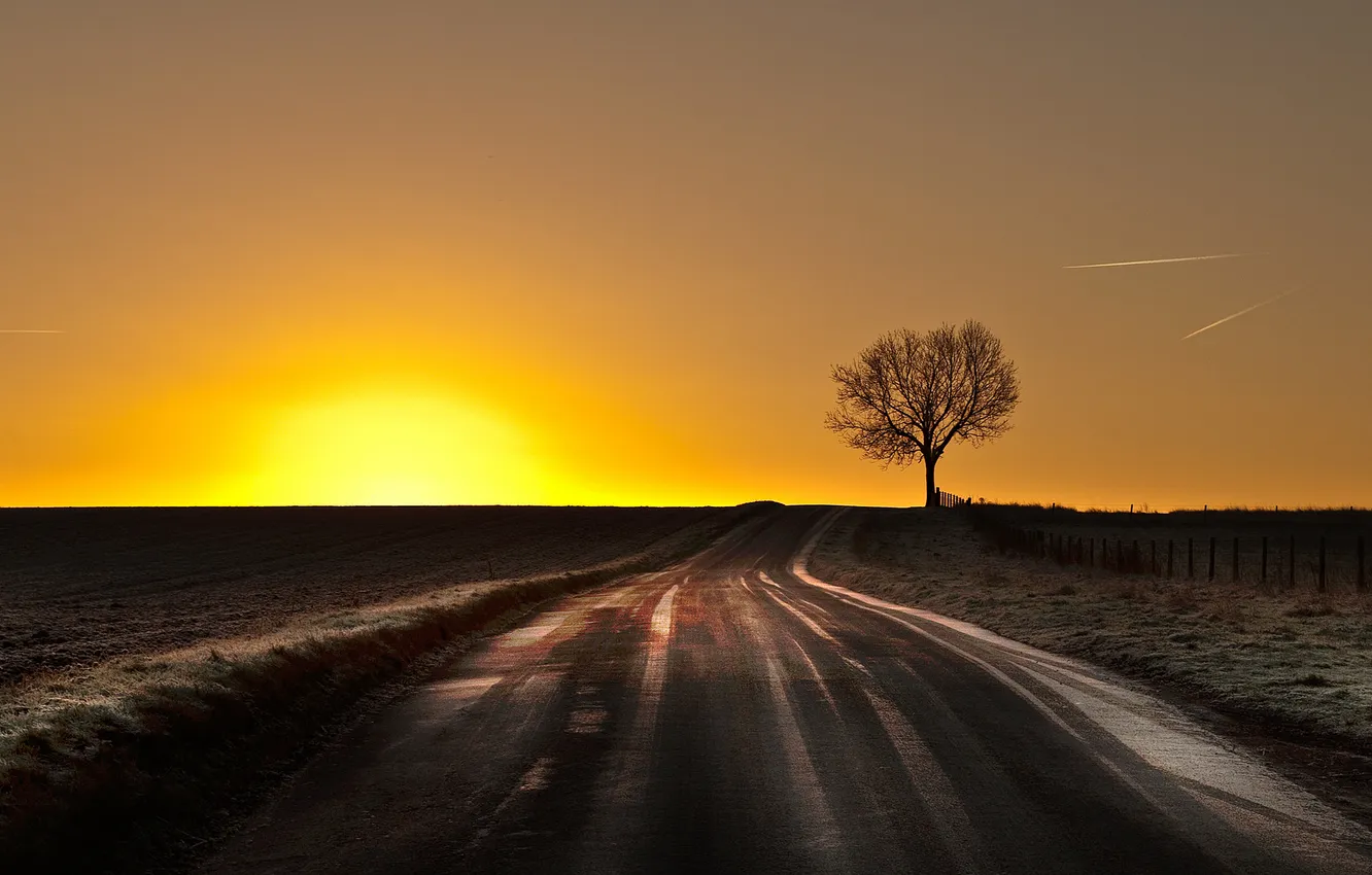 Фото обои дорога, закат, дерево