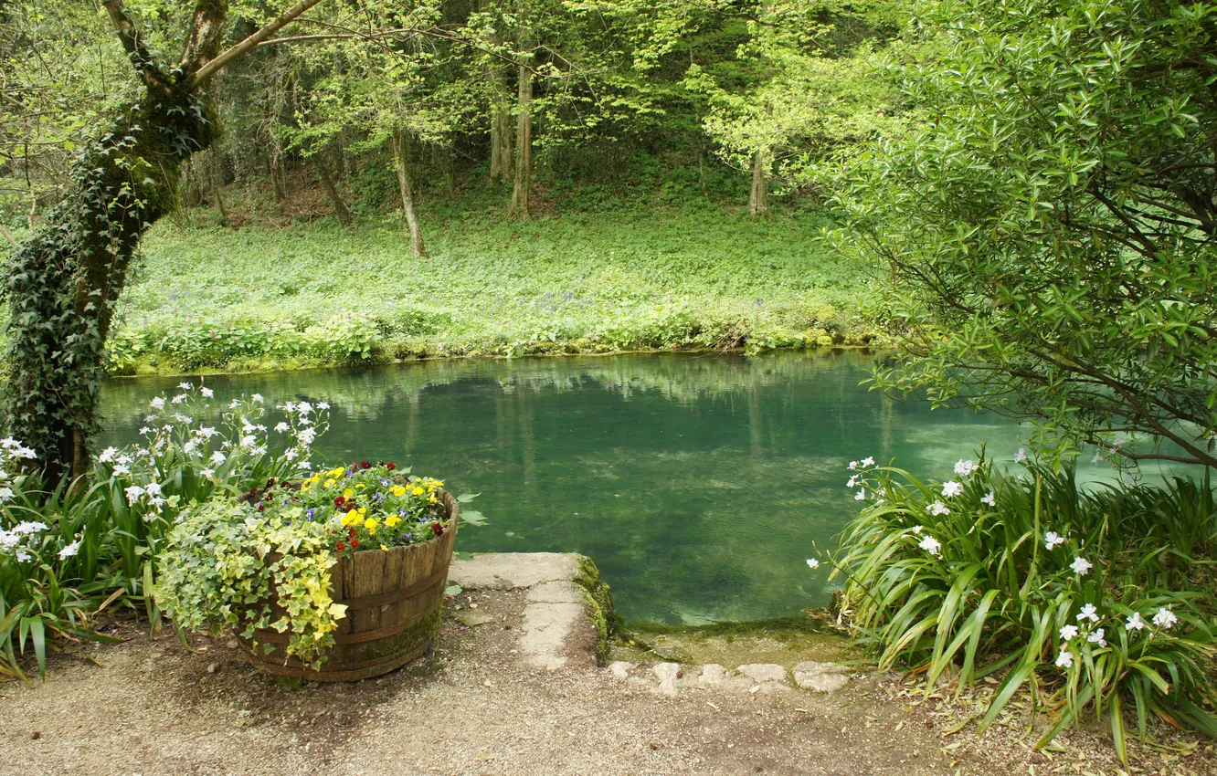 Фото обои green, river, trees, flowers, plants