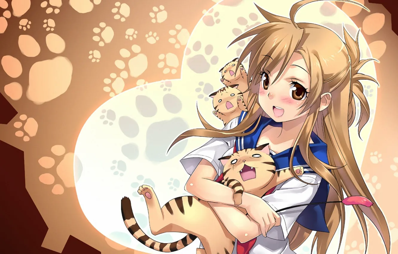 Фото обои девушка, кошки, следы, фон, nyan koi, бедные, mizuno kaede, объяти