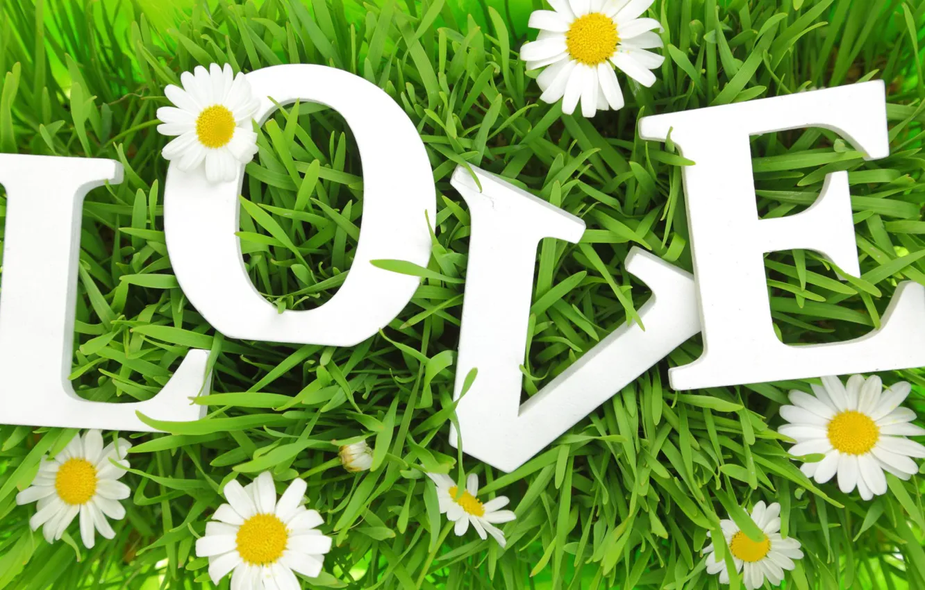 Фото обои трава, любовь, буквы, ромашки, love, grass, letters, chamomile