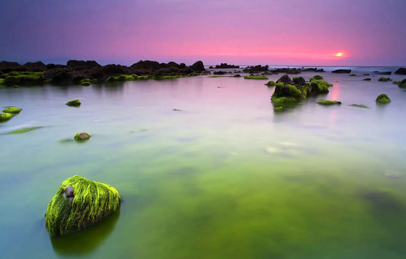 Фото обои море, вода, камни, океан, утро, зеленые