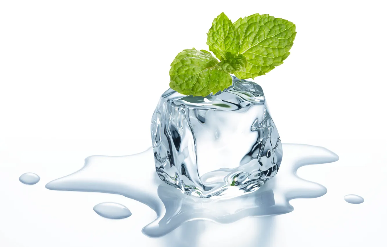 Фото обои кубик, ice, листочки, льда, cube, leaflets, мяты, mint.