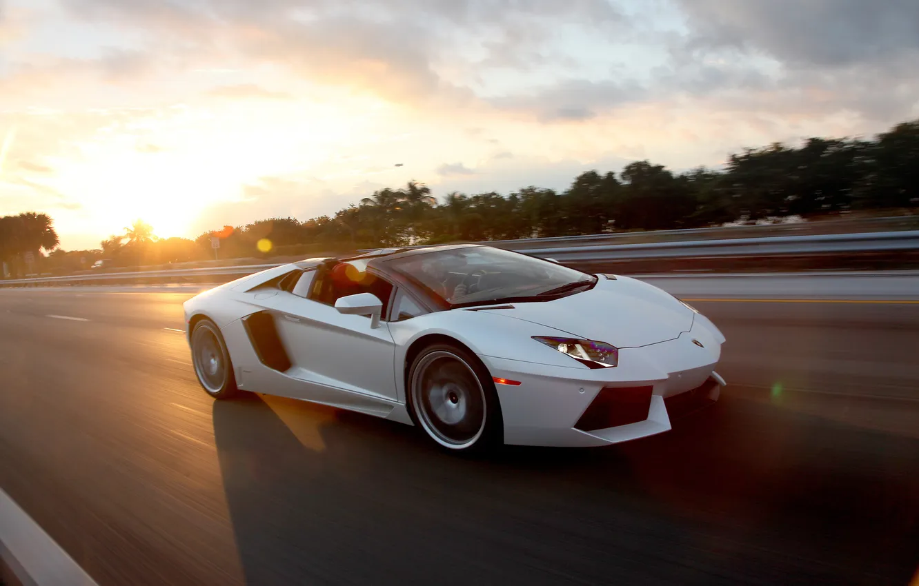 Фото обои белый, Roadster, Lamborghini, суперкар, white, родстер, road, sky