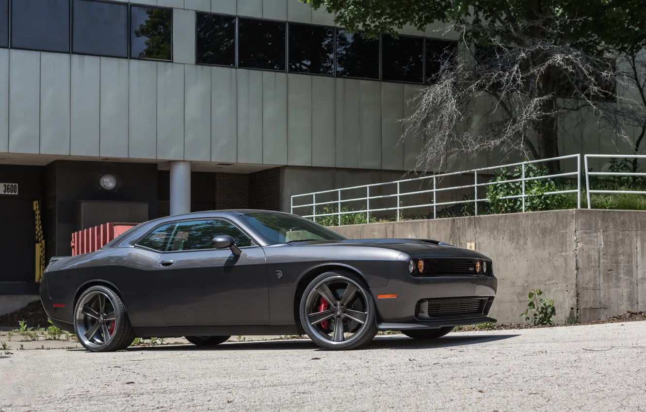 Фото обои dodge, challenger, gray, hellcat