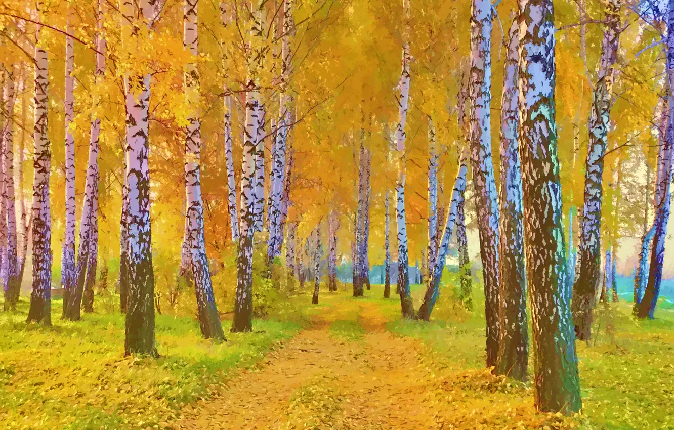 Фото обои дорога, осень, трава, листья, деревья, пейзаж, картина, березы