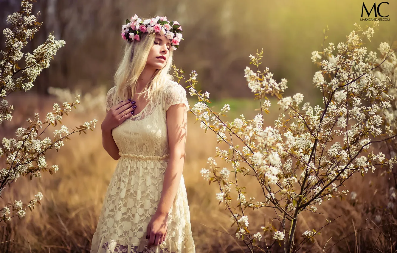 Фото обои лето, девушка, цветы, красота, платье, венок, photographer, мечтательная