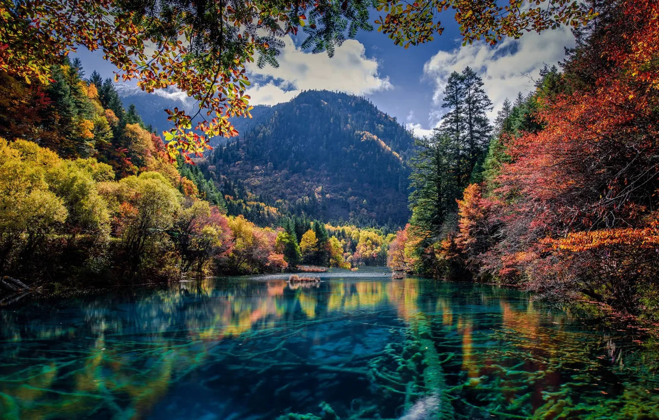 Фото обои осень, деревья, горы, природа, озеро, река