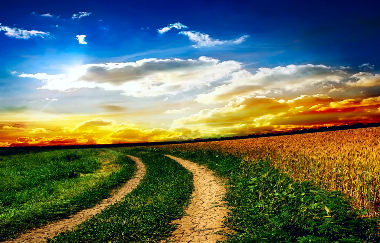 Фото обои поле, небо, трава, облака, пейзаж, закат, природа, дороги
