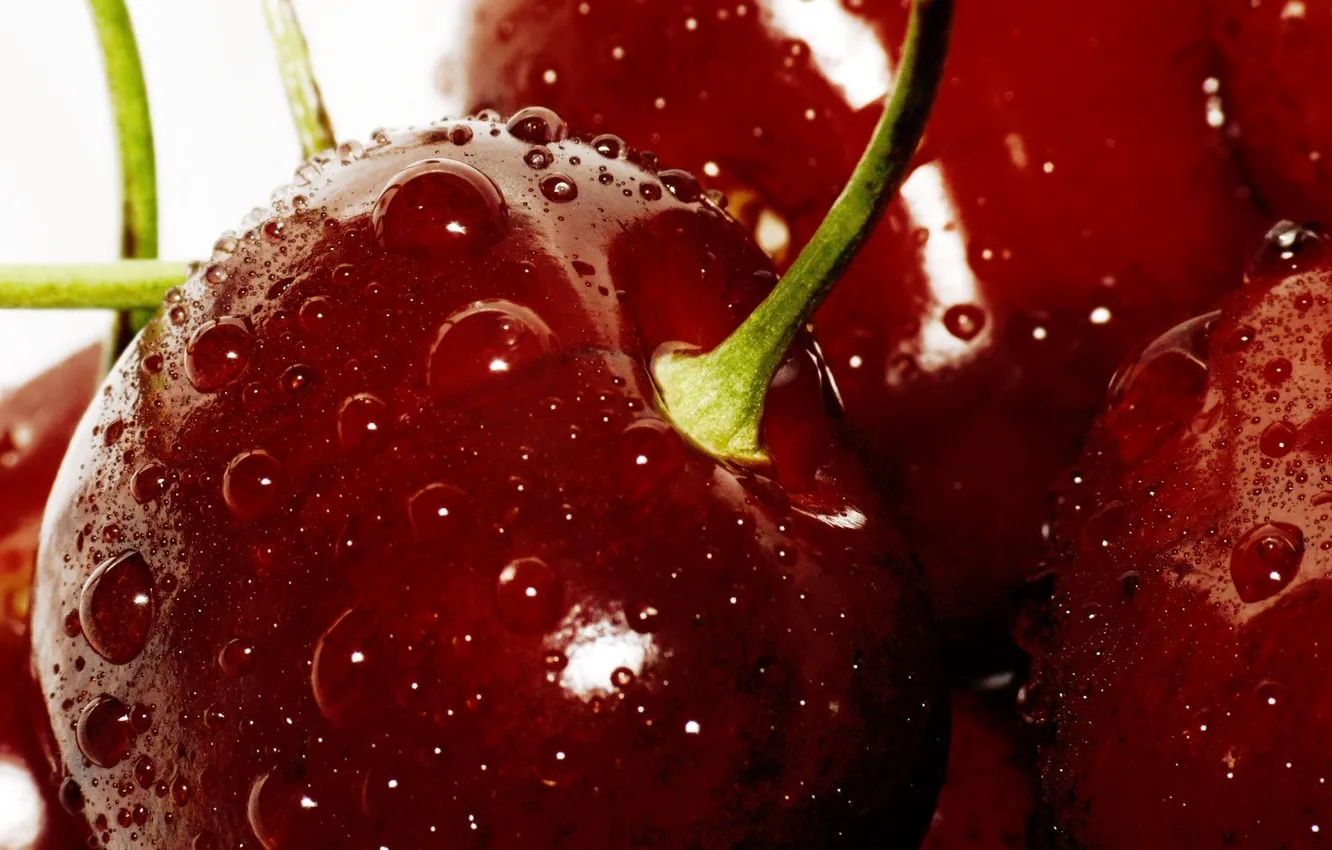 Фото обои капли, макро, вишня, ягоды, красная