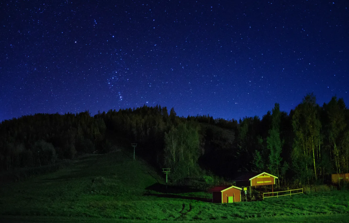 Фото обои stars, forest, звёзды, house, Ночь, дом, night, небо