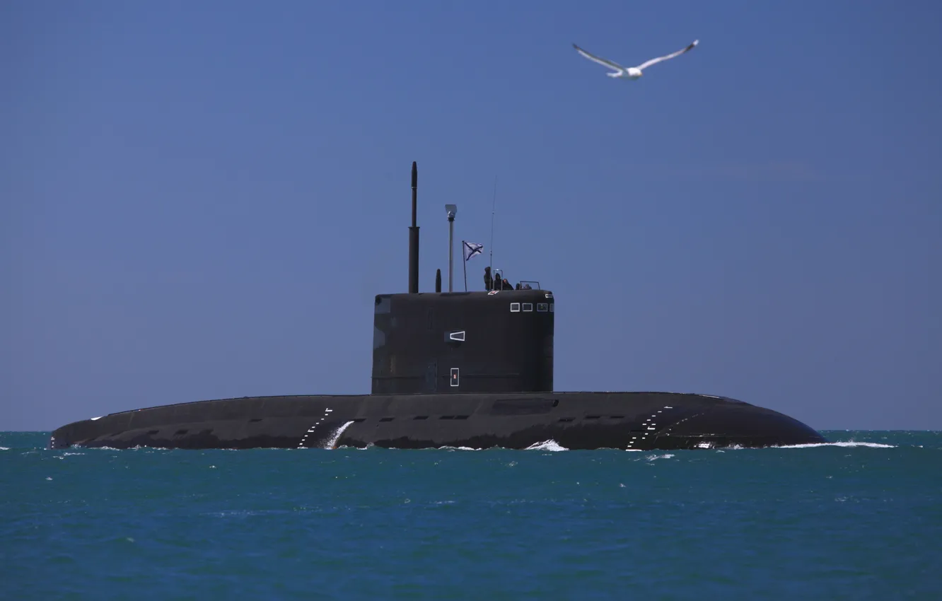 Фото обои лодка, подводная, Новороссийск, Черное море, дизельная, проект 636.3