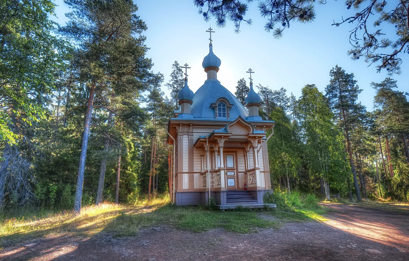 Фото обои лес, солнце, деревья, храм, Россия, Valaam Island