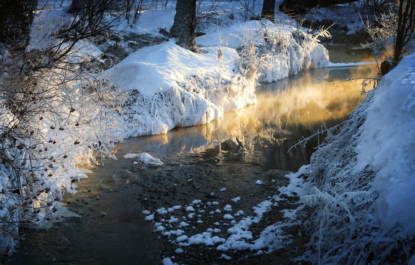 Фото обои ice, snow, cold, bravery