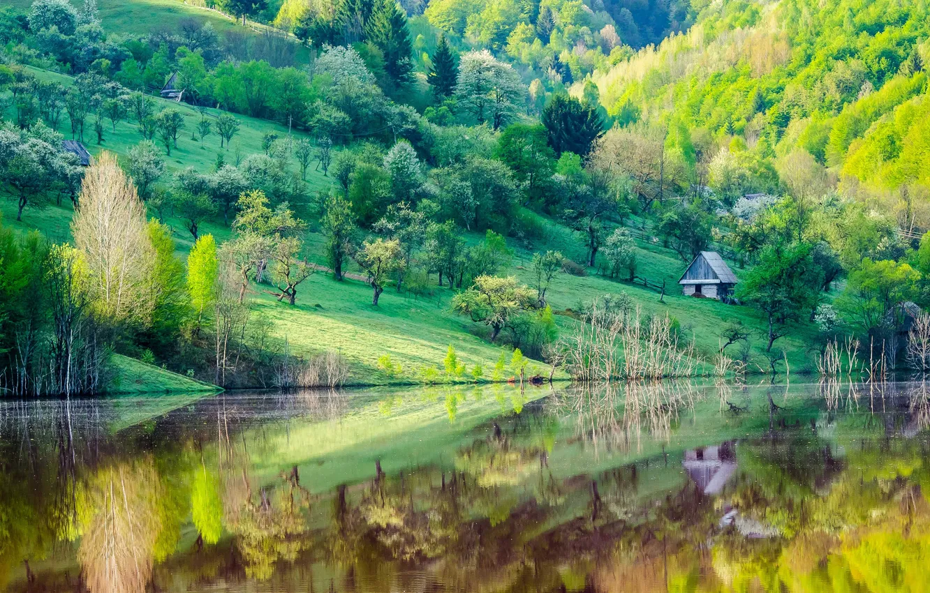 Фото обои деревья, озеро, отражение, гора, дома, весна, склон